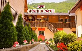 Pensiunea Casa Ioana